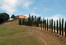 Montalcino